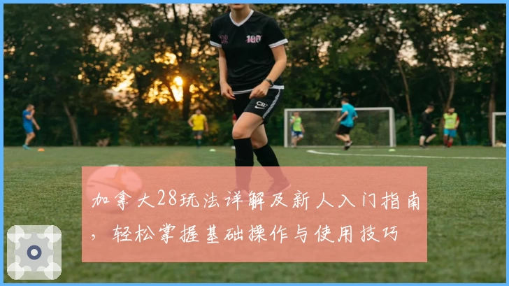 加拿大28玩法详解及新人入门指南，轻松掌握基础操作与使用技巧