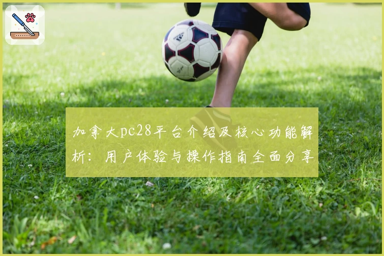 加拿大pc28平台介绍及核心功能解析：用户体验与操作指南全面分享