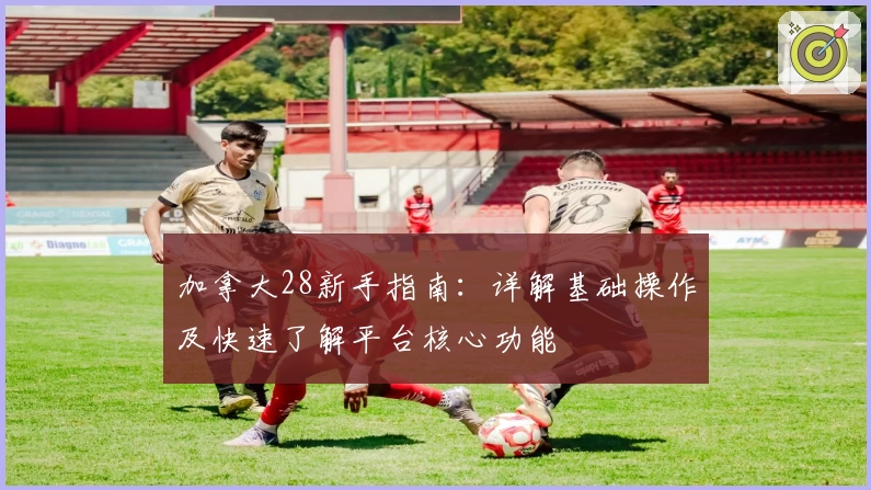 加拿大28新手指南：详解基础操作及快速了解平台核心功能