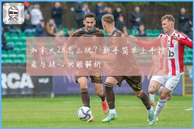 加拿大28怎么玩?新手简单上手指南与核心功能解析