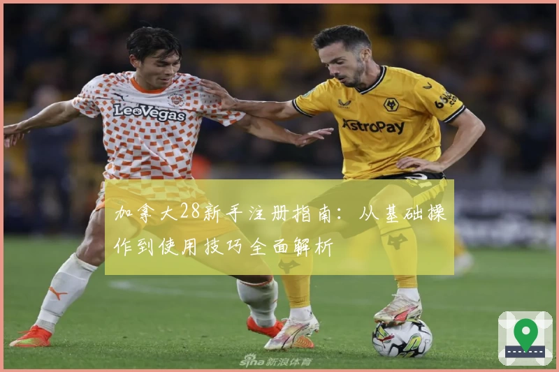 加拿大28新手注册指南：从基础操作到使用技巧全面解析