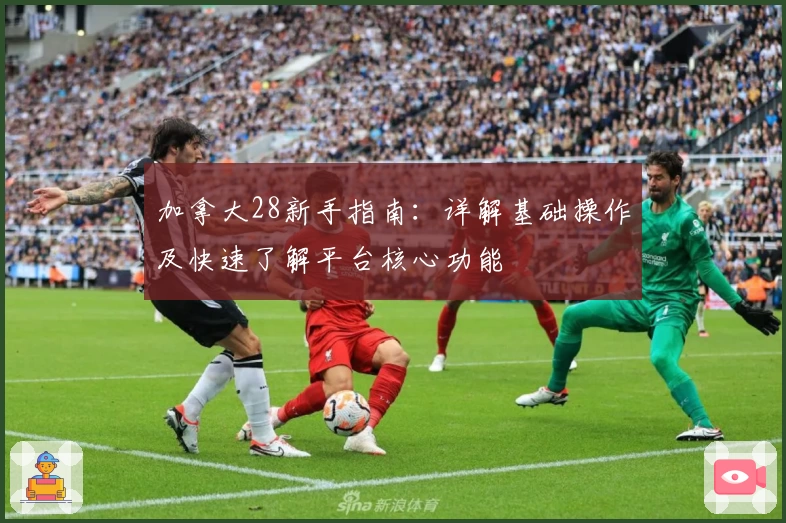 加拿大28新手指南:详解基础操作及快速了解平台核心功能