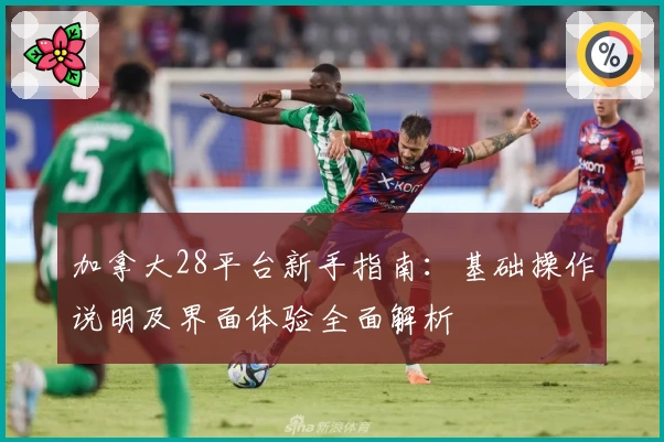 加拿大28平台新手指南：基础操作说明及界面体验全面解析