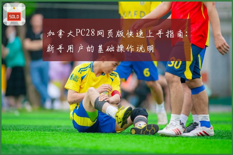 加拿大PC28网页版快速上手指南：新手用户的基础操作说明