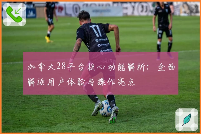 加拿大28平台核心功能解析：全面解读用户体验与操作亮点