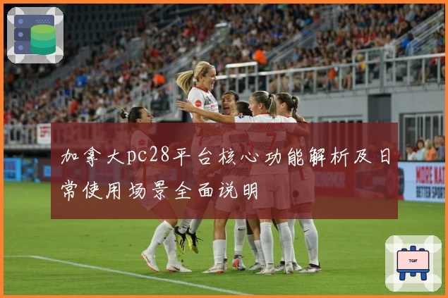 加拿大pc28平台核心功能解析及日常使用场景全面说明