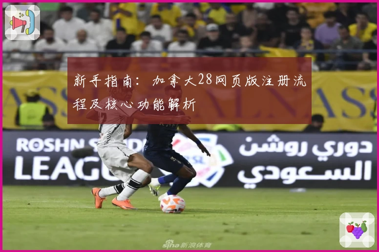 新手指南：加拿大28网页版注册流程及核心功能解析