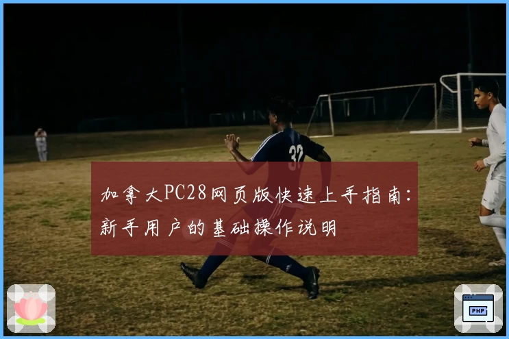 加拿大PC28网页版快速上手指南：新手用户的基础操作说明