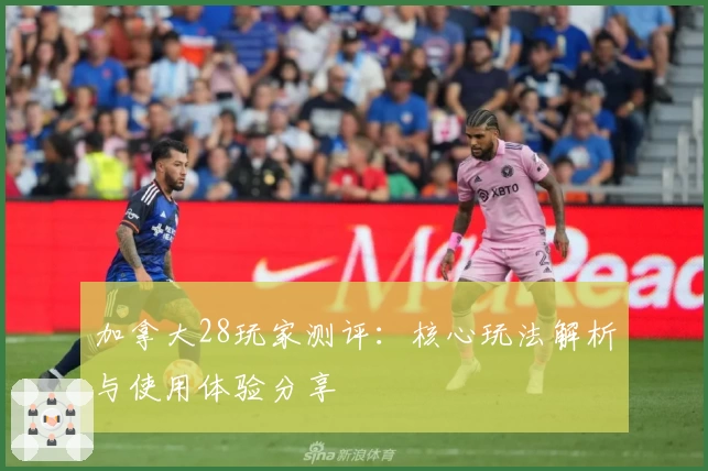 加拿大28玩家测评：核心玩法解析与使用体验分享