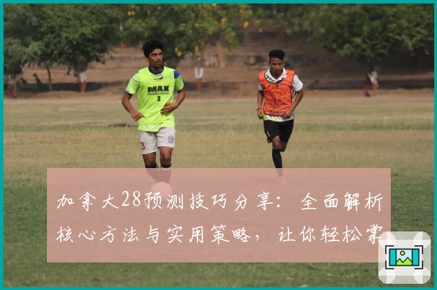 加拿大28预测技巧分享：全面解析核心方法与实用策略，让你轻松掌握高效预测诀窍