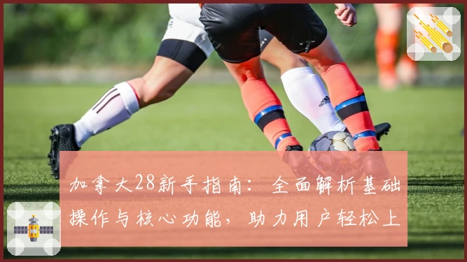 加拿大28新手指南:全面解析基础操作与核心功能,助力用户轻松上手平台