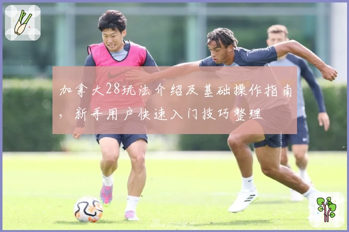 加拿大28玩法介绍及基础操作指南，新手用户快速入门技巧整理