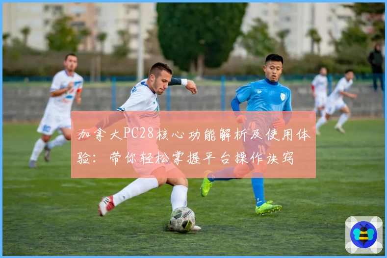 加拿大PC28核心功能解析及使用体验：带你轻松掌握平台操作诀窍