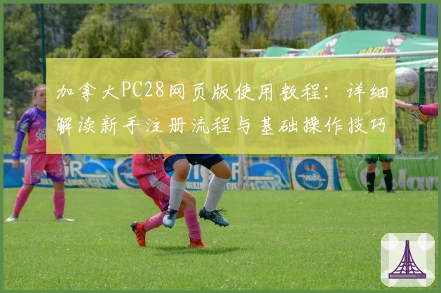 加拿大PC28网页版使用教程：详细解读新手注册流程与基础操作技巧