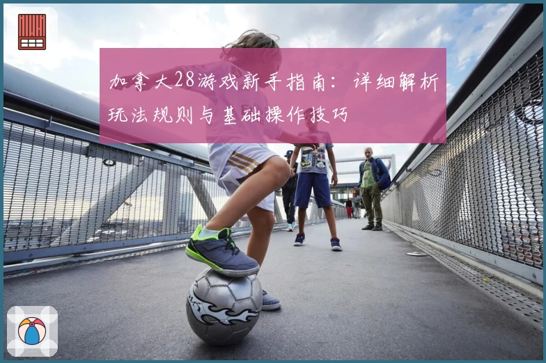 加拿大28游戏新手指南：详细解析玩法规则与基础操作技巧