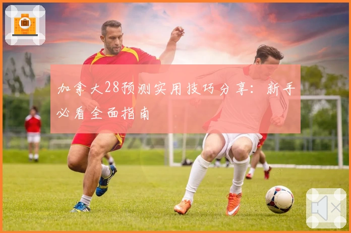 加拿大28预测实用技巧分享：新手必看全面指南