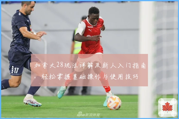 加拿大28玩法详解及新人入门指南，轻松掌握基础操作与使用技巧